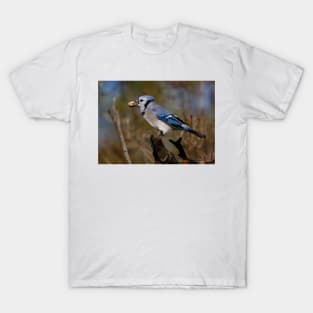 Blue Jay T-Shirt